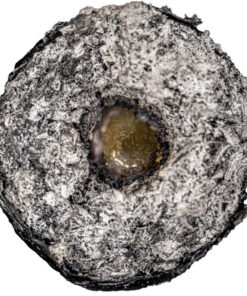 78c91bef1aac4785b4aa1a97929e7167 1