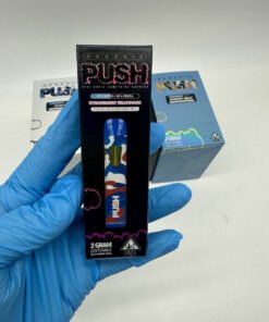 Push Disposable 2G
