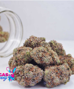 Alternative view of Frosted Flakes Strain A+