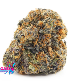 Untitled design 27 1 Untitled design 27 1