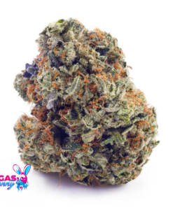 Untitled design 36 1