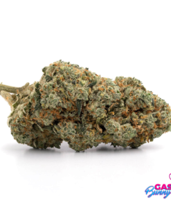 Alternative view of Berry Pie Strain