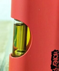 WhatsApp Image 2024 06 16 at 2.19.54 AM 1 WhatsApp Image 2024 06 16 at 2.19.54 AM 1