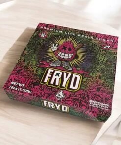 WhatsApp Image 2024 10 18 at 4.03.43 AM 1 1