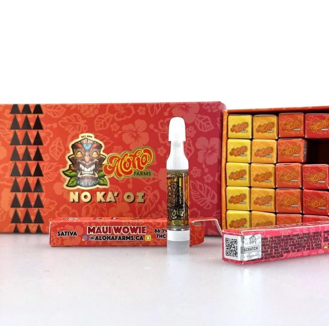 WhatsApp Image 2024 10 20 at 8.27.58 AM 1 1 Aloha 1g Disposable Vape