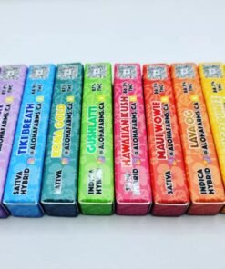 WhatsApp Image 2024 10 20 at 8.27.59 AM 1 1 WhatsApp Image 2024 10 20 at 8.27.59 AM 1 1