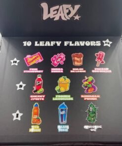 WhatsApp Image 2024 10 28 at 5.41.10 AM 1 WhatsApp Image 2024 10 28 at 5.41.10 AM 1