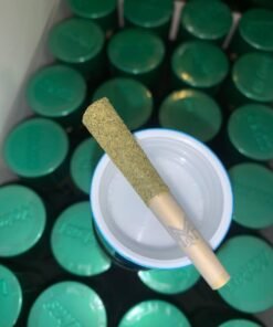 WhatsApp Image 2024 11 11 at 2.33.41 PM 2 WhatsApp Image 2024 11 11 at 2.33.41 PM 2