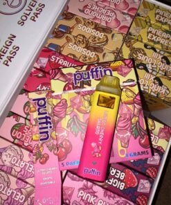 WhatsApp Image 2024 11 12 at 10.05.49 AM 1