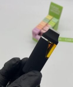 WhatsApp Image 2024 12 06 at 11.03.17 PM 1 1