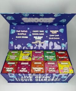 WhatsApp Image 2024 12 19 at 12.44.02 PM 1