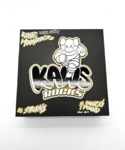 image 522 1 image 522 1