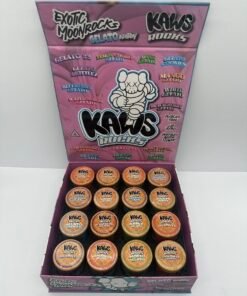 image 531 1 image 531 1